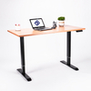 Height Adjustable Standing Desk Single Motor with Table Top