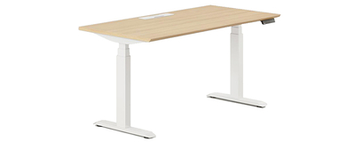 Dual Motor Standing Desks.jpg