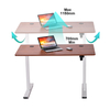Electric Standing Desk Adjustable Height Sit Stand Home Office Desk 