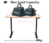  2 Stages Single Motor Electric Height Adjustable Standing Desk Whole-Piece Board Desk Sit Stand Up Desk 